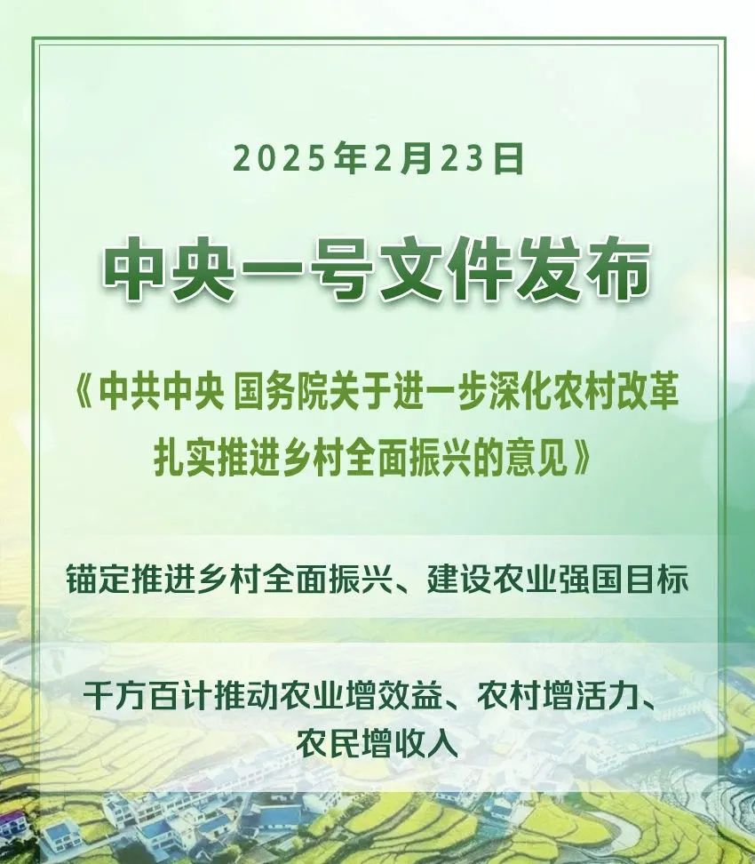 2025年中央一號文件(全文)(圖1) 2025年中央一號文件(全文)(圖1)