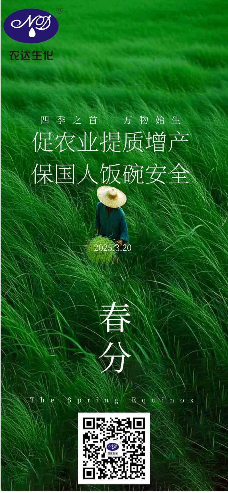 今日春分(圖1)