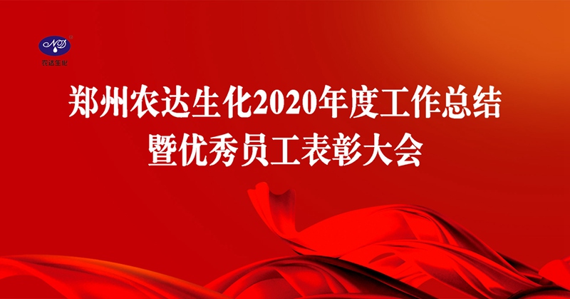 新征程，再出發(fā)丨我公司召開(kāi)2020年度年終總結(jié)會(huì)議(圖1)
